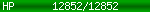 [12852/12852]