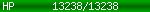 [13238/13238]