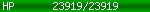 [23919/23919]