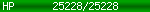 [25228/25228]